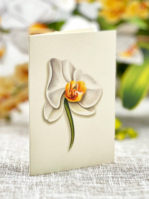 Serenity Orchid (Pop-up Greeting Cards)