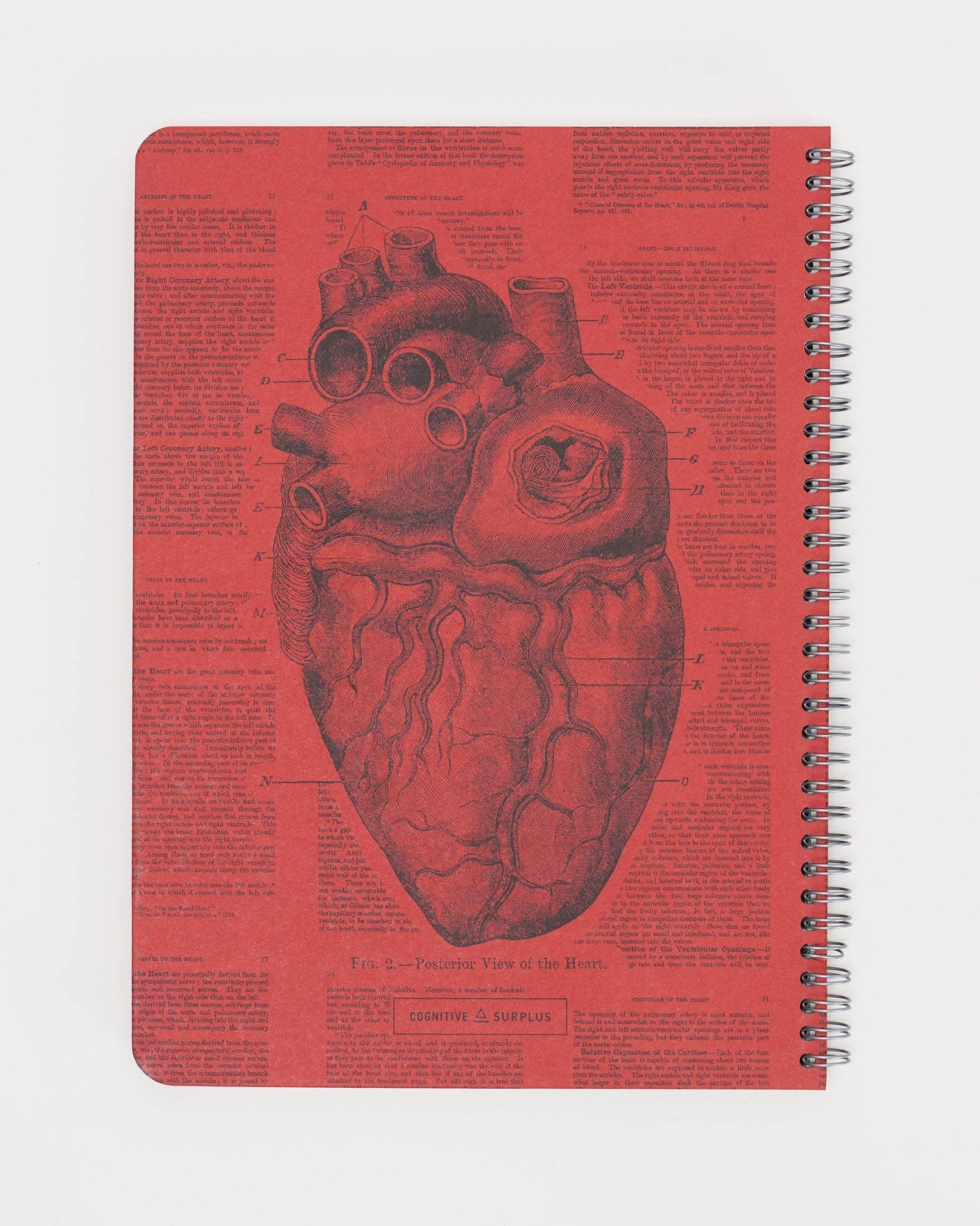 Anatomical Heart Spiral Notebook: A4