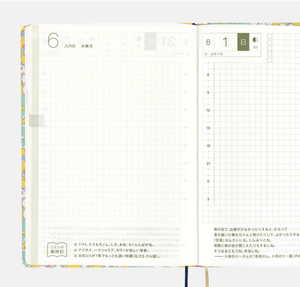 2025 Hobonichi Techo -  2025 HON A6 Liberty Fabrics: Paysanne Blossom