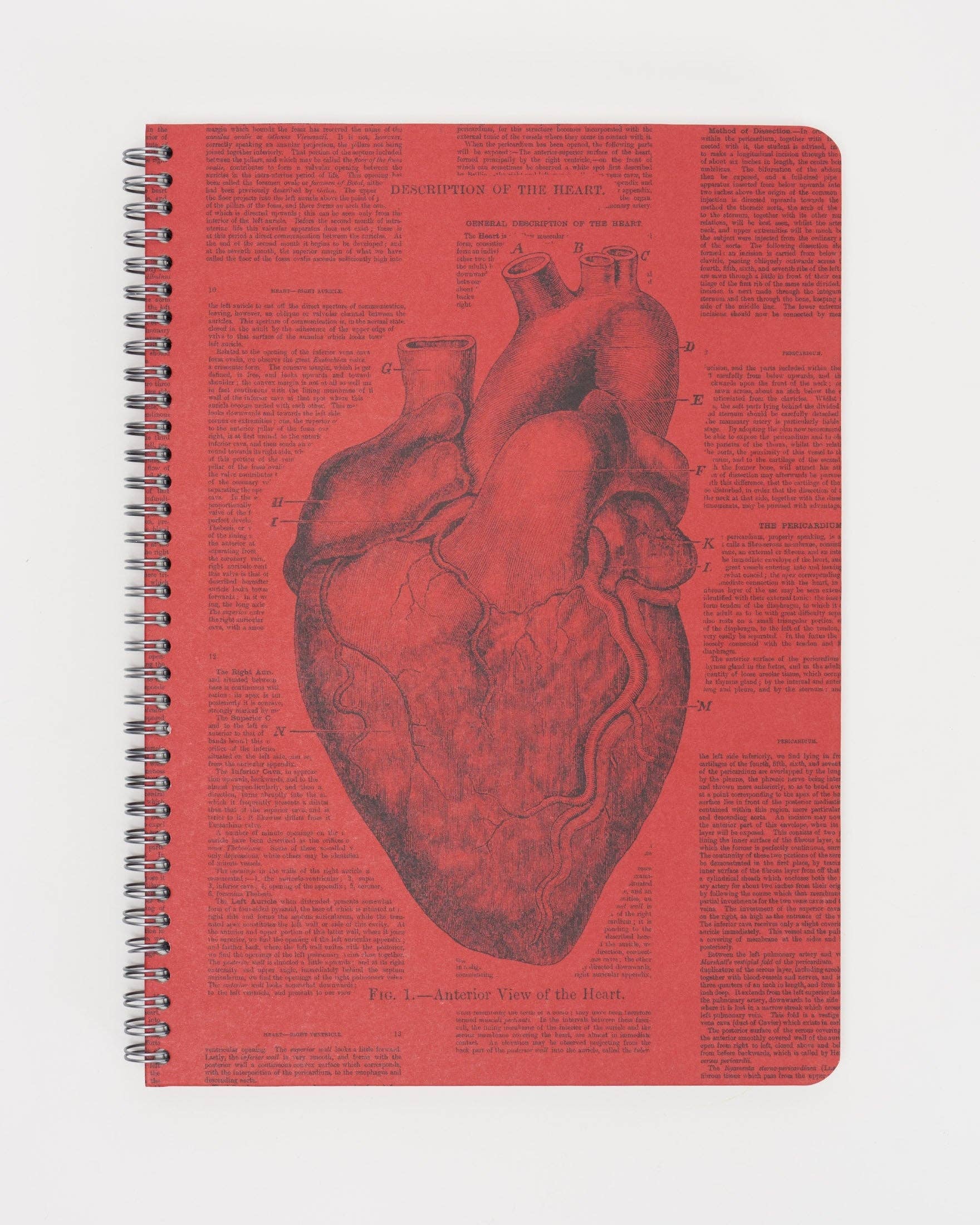 Anatomical Heart Spiral Notebook: A4