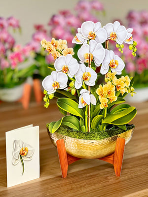 Serenity Orchid (Pop-up Greeting Cards)